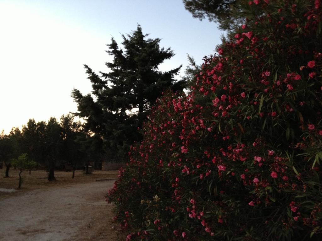 فيلا La Giara San Vito Lo Capo كاستيلوزو المظهر الخارجي الصورة