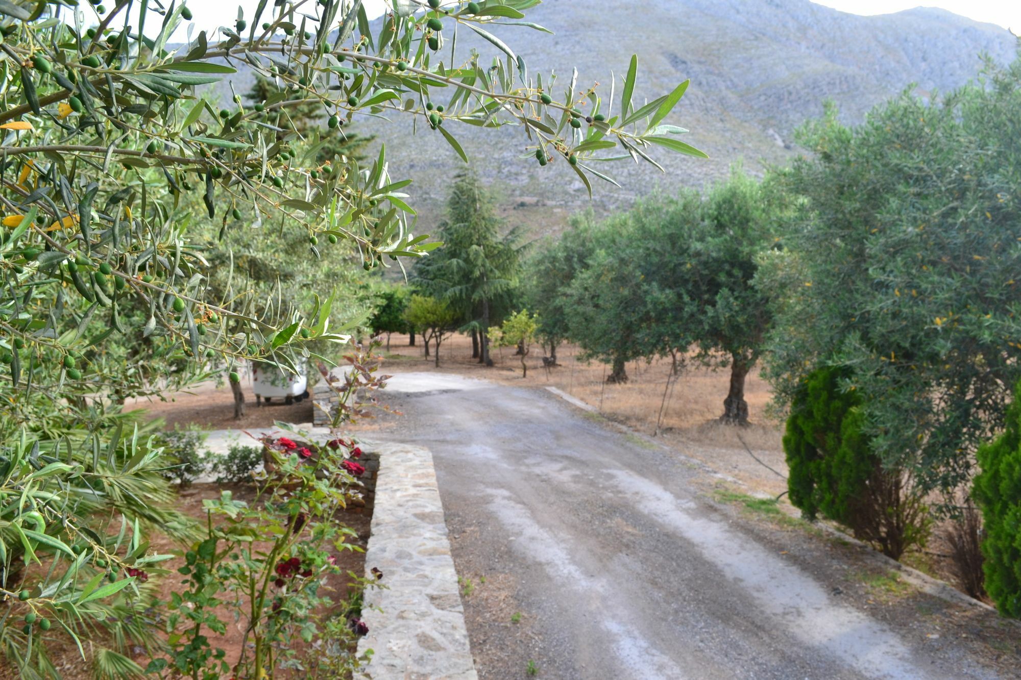 فيلا La Giara San Vito Lo Capo كاستيلوزو المظهر الخارجي الصورة